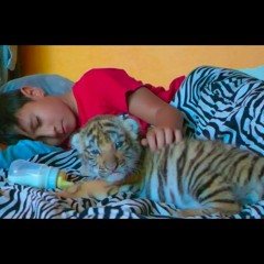 Bigy - Mon ami