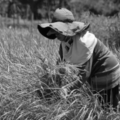 Atom K - St. Germaine Des Prairies