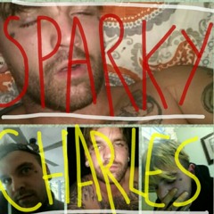 $PARKY CHARLES - REMEMBER ME?