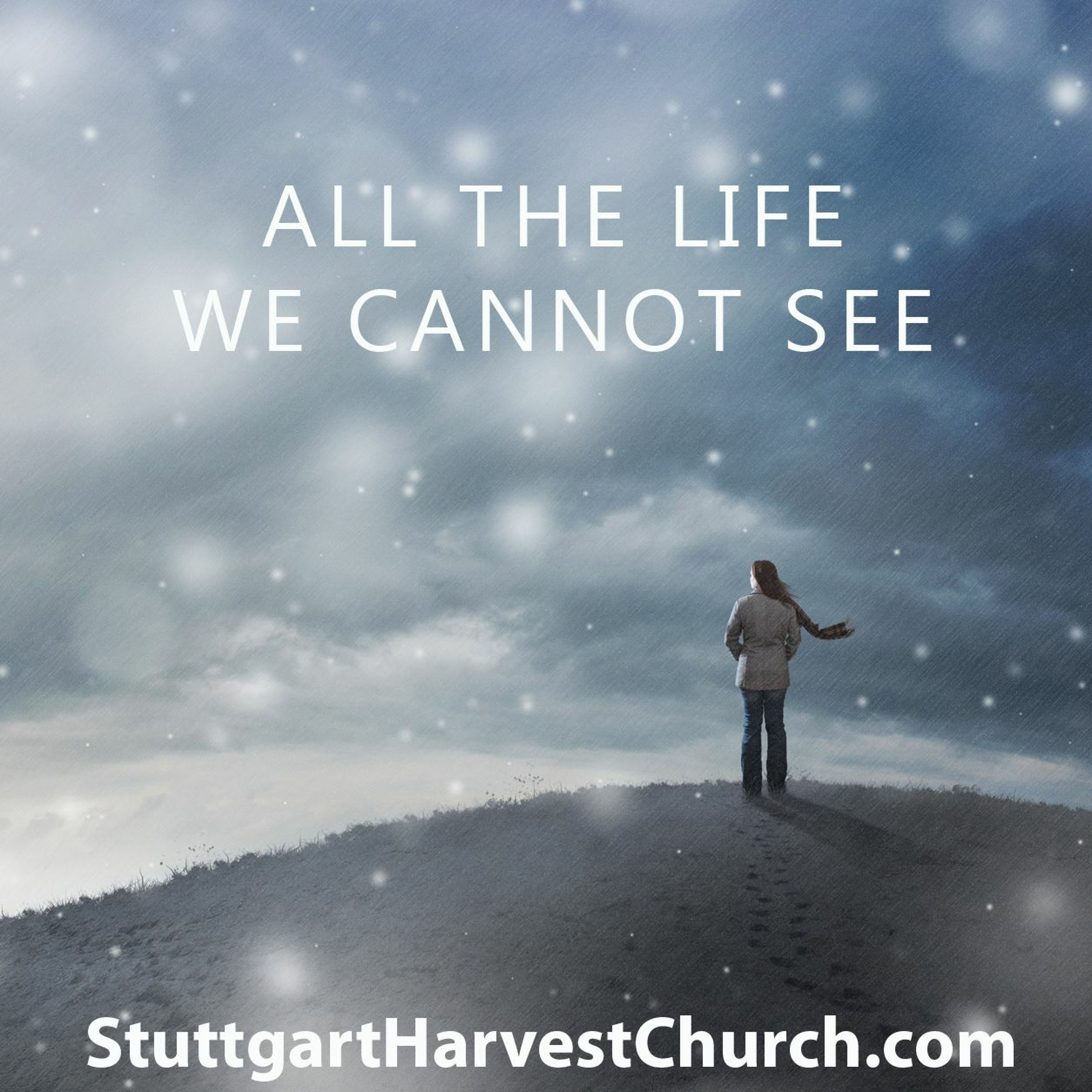 All The Life We Cannot See 1of4 episode artwork