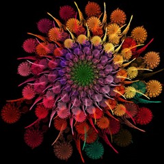 Hypnotic Flowers (Unmastered)