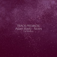 Exclusive Premiere: Adam Roofy - Notes - THE PLOTmusic