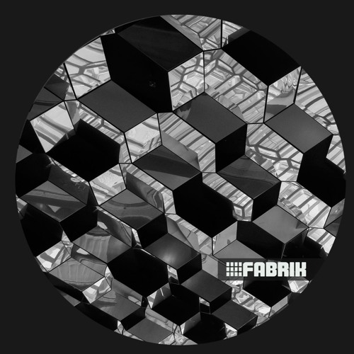 Premiere: Lost Algorithm - "Amigdala" (Aleja Sanchez Remix) - Fabrik Music