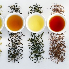 Dhafer Youssef - Satyagraha