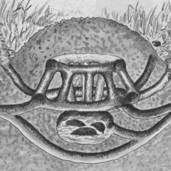 Réseaux Sous - Terrains