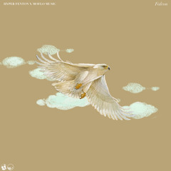 Hyper Fenton & Moflo Music - Falcon