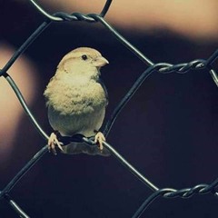 ساعات ساعات@صباح
