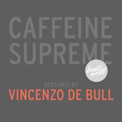 Vol. 20 - Vincenzo de Bull
