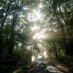 The Old Barbed Wire - a WW1 marching song