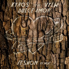 Dulce Amor (feat. VYLW) [Feshon Remix]