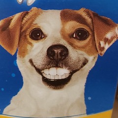 Heavenly Father - Bon Iver Cover