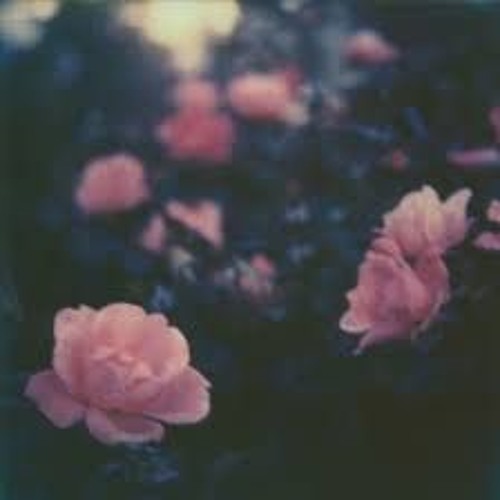 Lo-Fi