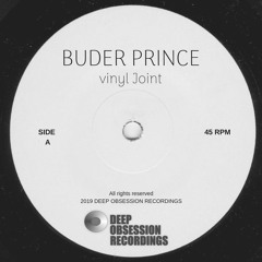 Buder Prince - Vinyl Joint (Original Mix)