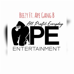 Fa Fun Beezy Ft. Ape Gang B