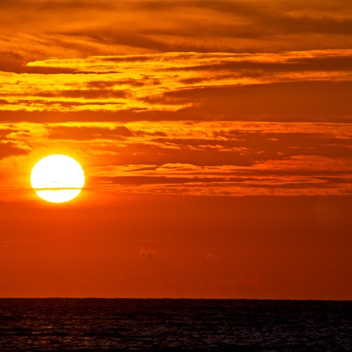 Канадская художница johanne cullen. Good evening картинки. Sometimes in the evening. Sometimes later becomes never. Nice evening картинки.