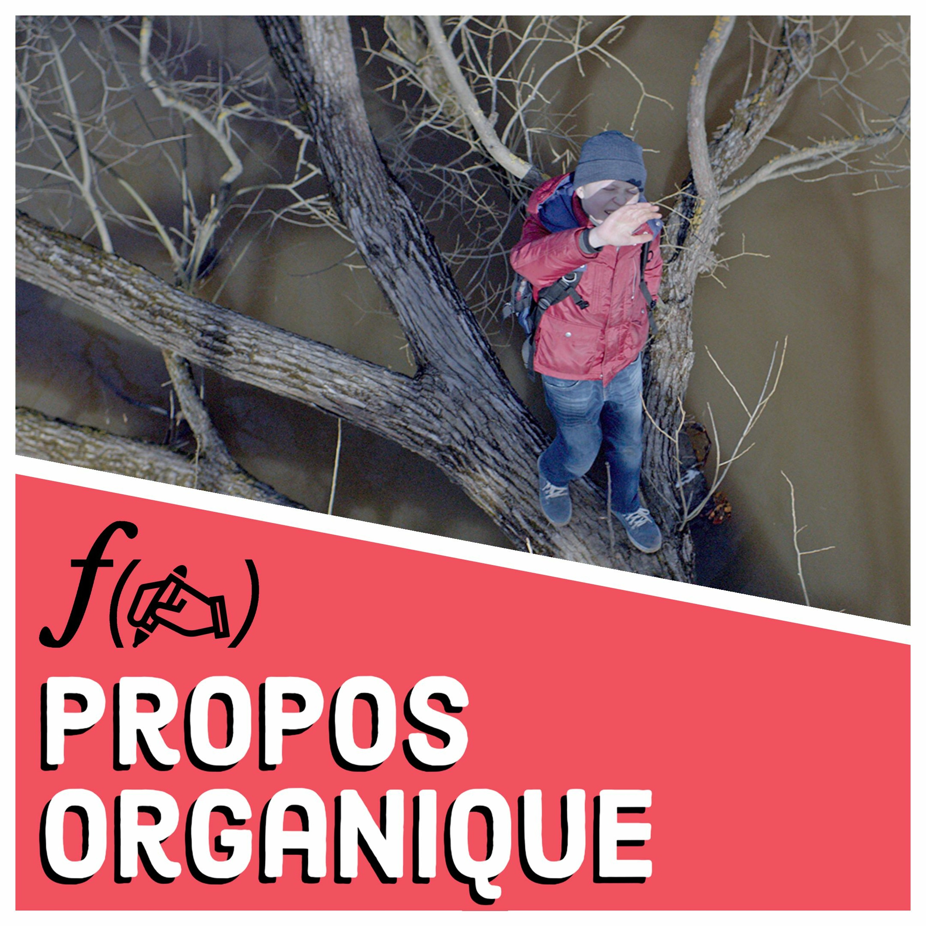 Comment c\'est raconté ?
