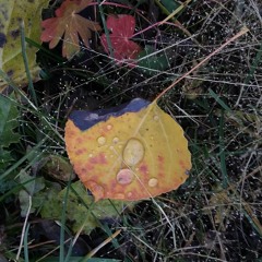 "If God be for us, who can be against us?"