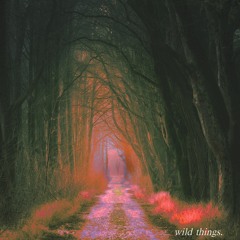 Zoula - Wild Things Grow Here