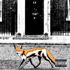 Michael Phantom X L3 - Karma