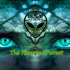 Bruno Vibetech -opening set PsyAliens The Haunted Forest party
