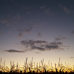 The Sky Is So Pretty