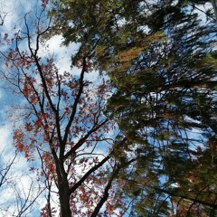 Don't die tonight in fright