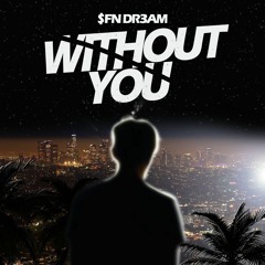Without You
