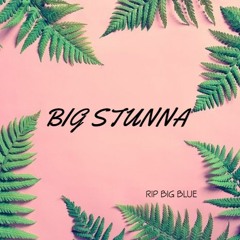 Big Stunna