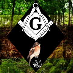 [MIXTAPE] GALAPAGOS!