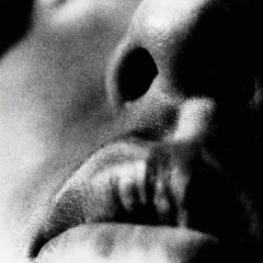 KEEP IT SIMPLE STOOPID // STBB // 609