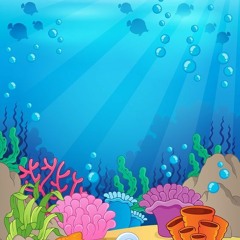 On The Sea Floor