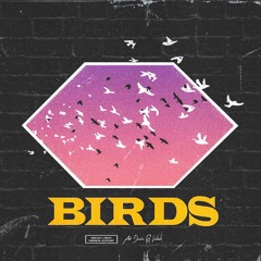 Birds (Prod. by VEEZY)