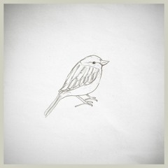 adventure music for migrating birds (piano version)