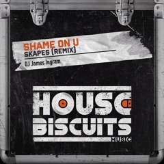 DJ James Ingram - Shame On U - (Skapes Remix)