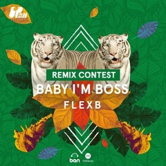 FlexB: Baby I'm Boss (BANDO REMIX)