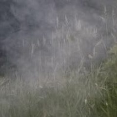 The Hydrogen Hand  [VOLTAGE VOIDS // Cryptic Carousel]