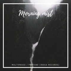 DJ pr0fane (Iboga Records) - Morning Mist