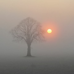 Stillness