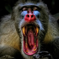 Shock The Baboon/ Peter Gabriel Remix "Shock The Monkey"