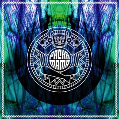 Pachamama showcase at Crack Bellmer