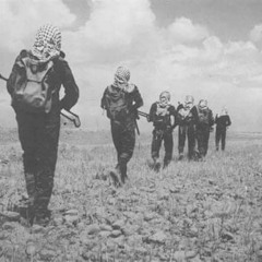 كيف الســــــــــبيل؟ ..