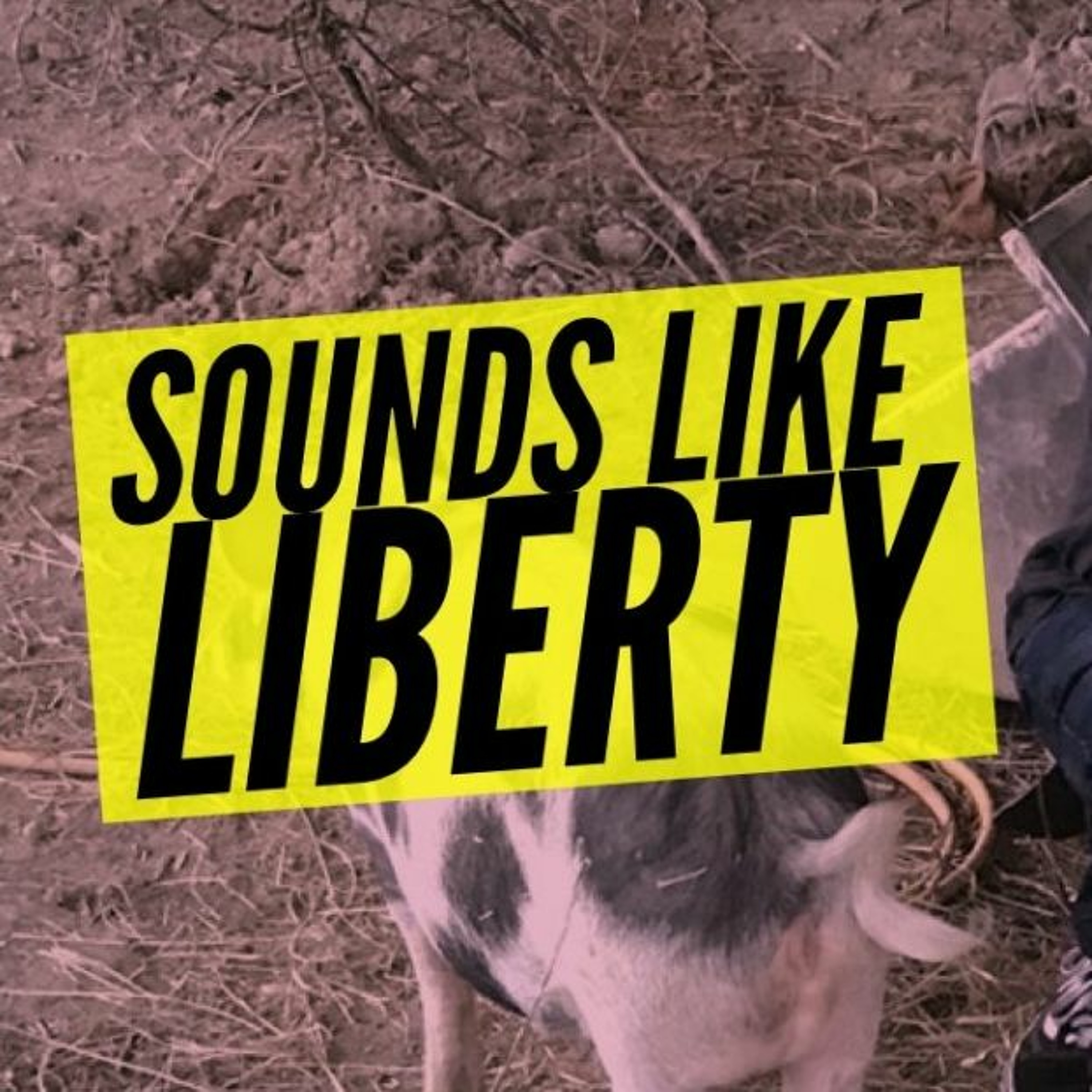 Scottish Liberty Podcast