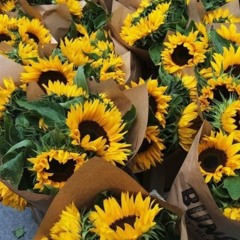 Explícito Delacruz e Ducon.mp3