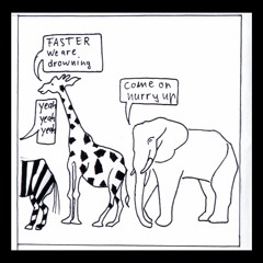 Orch248 - Common Ark