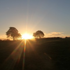 JT Frank Autumn Contact