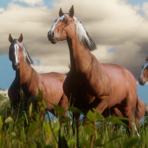 Cover for episode: Podquisition Episode 207: Fuck You & The Horse You Rode In On Simulator