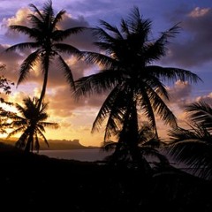 Sakau Melody