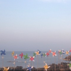 조용한 노래