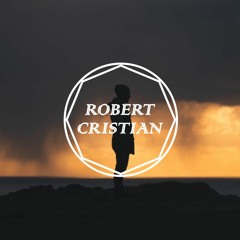 Pink - What About Us (Robert Cristian Remix)