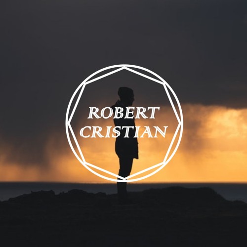 Pink - What About Us (Robert Cristian Remix)